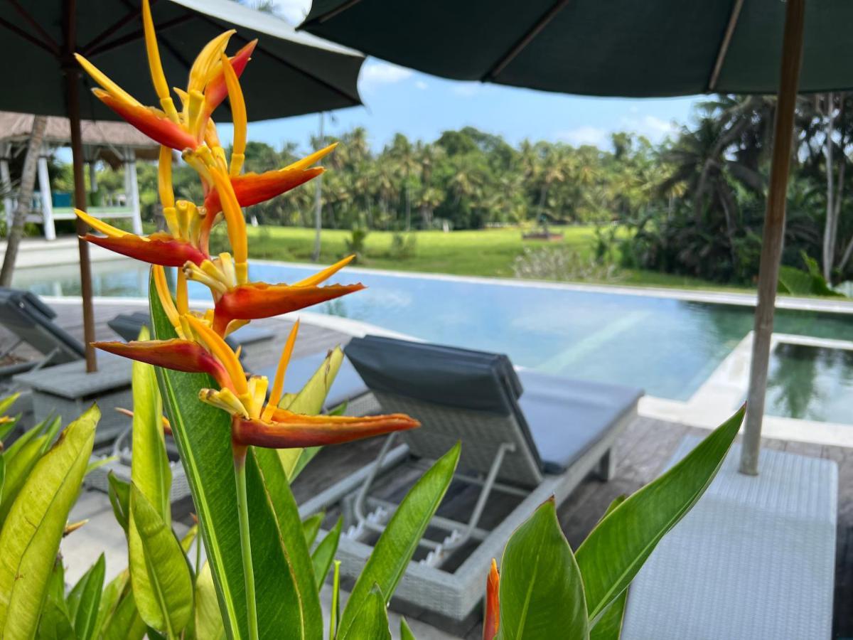 Coco Verde Bali Resort Tanah Lot  Exterior photo